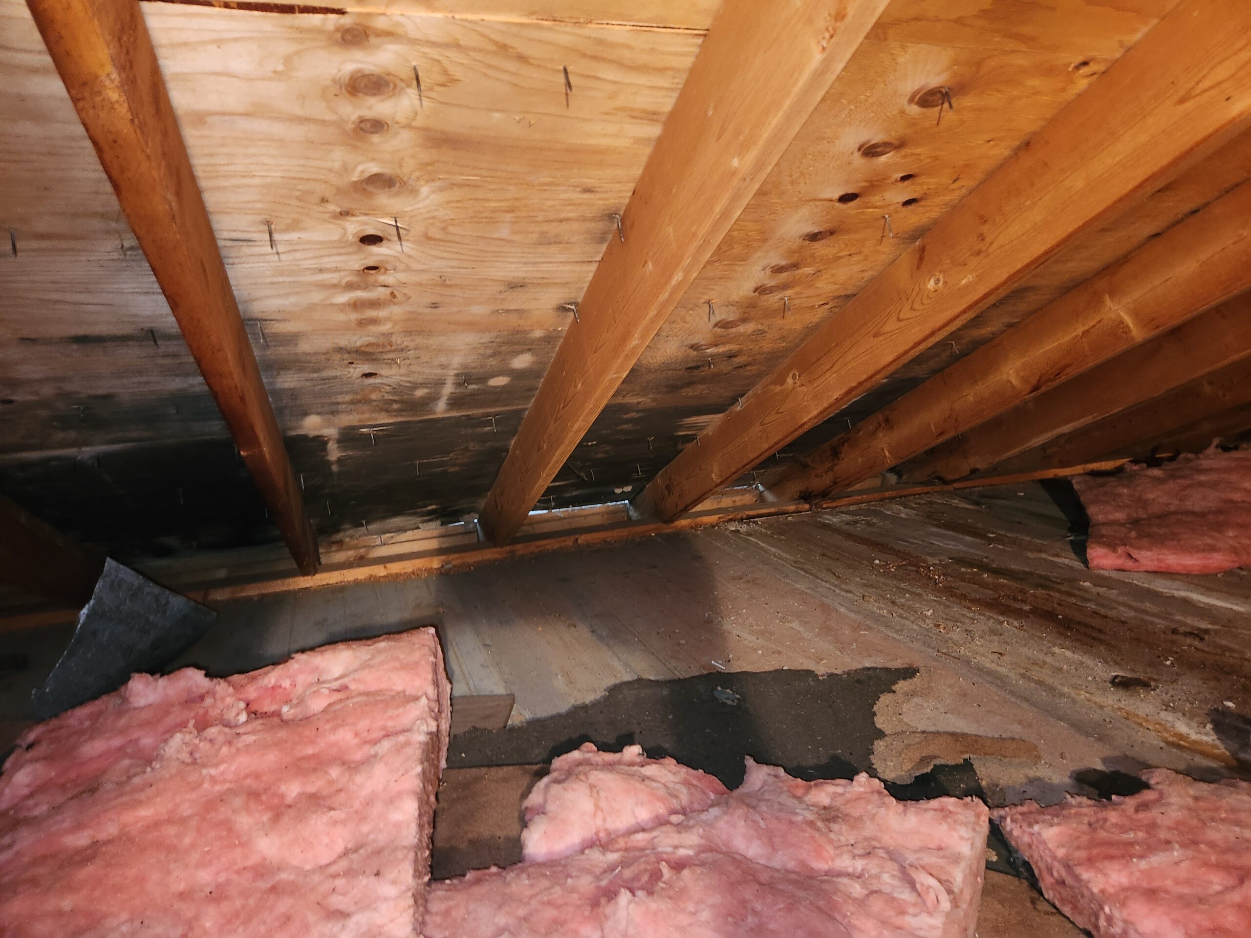 Basement after mold remediation