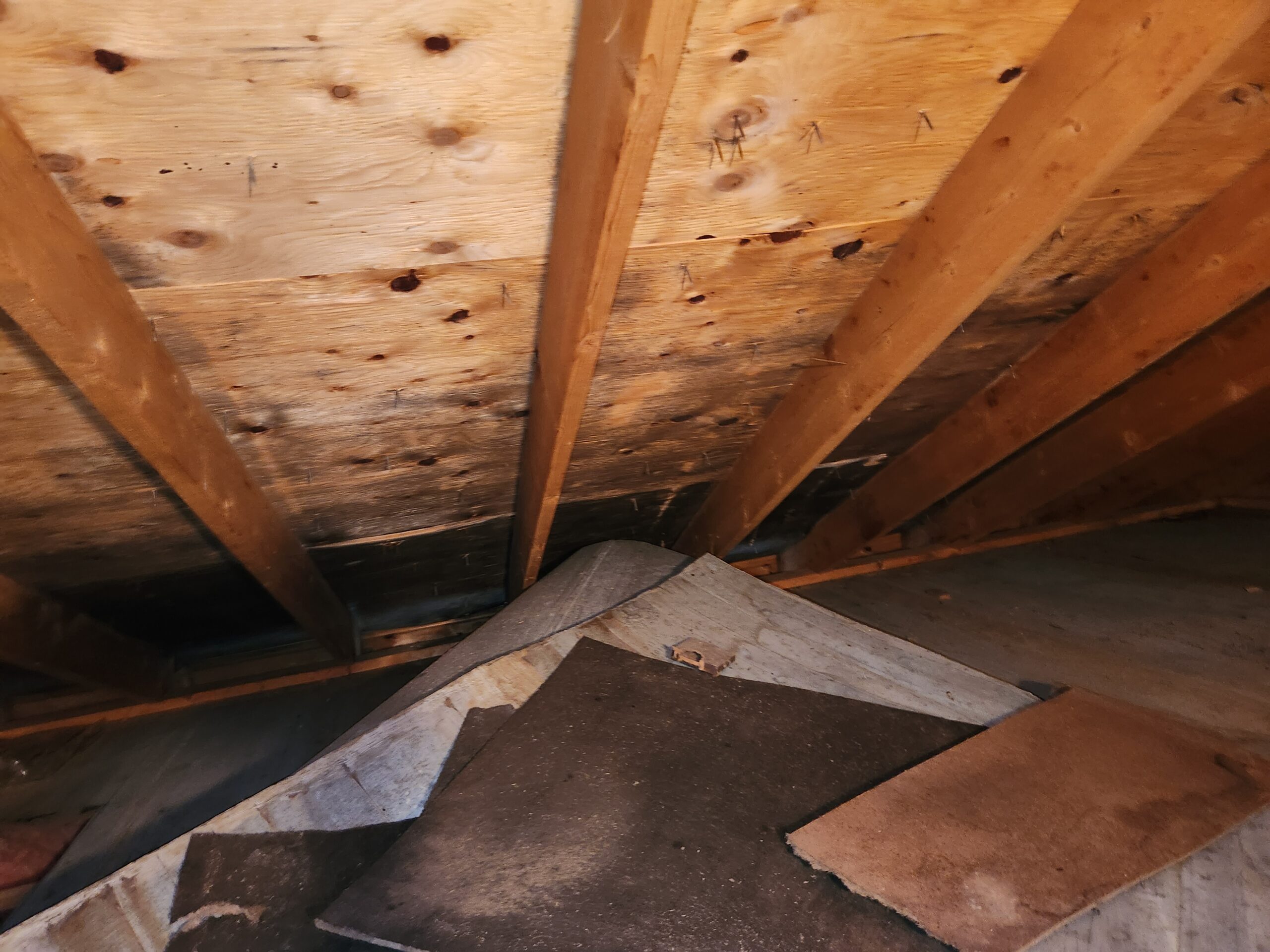 Basement remediation detail