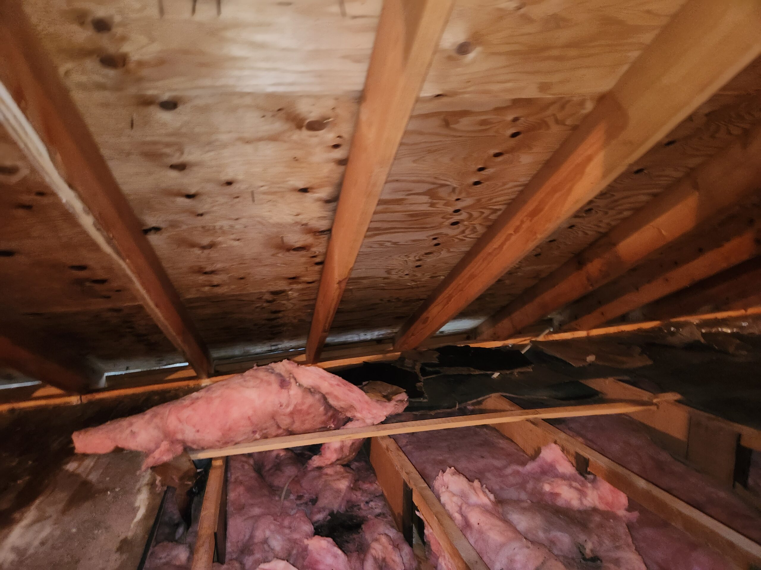 Attic after mold remediation