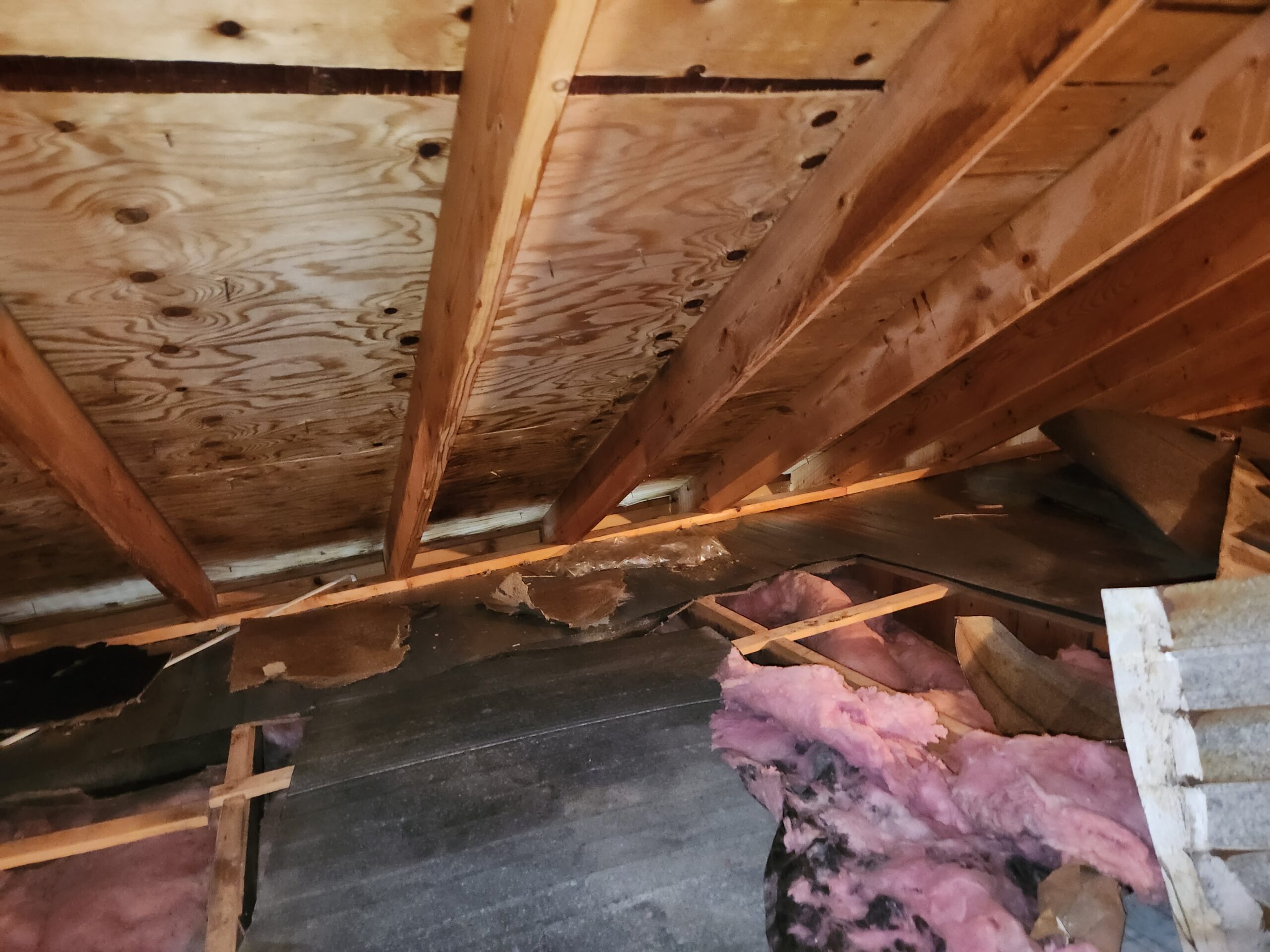Attic remediation work in progress