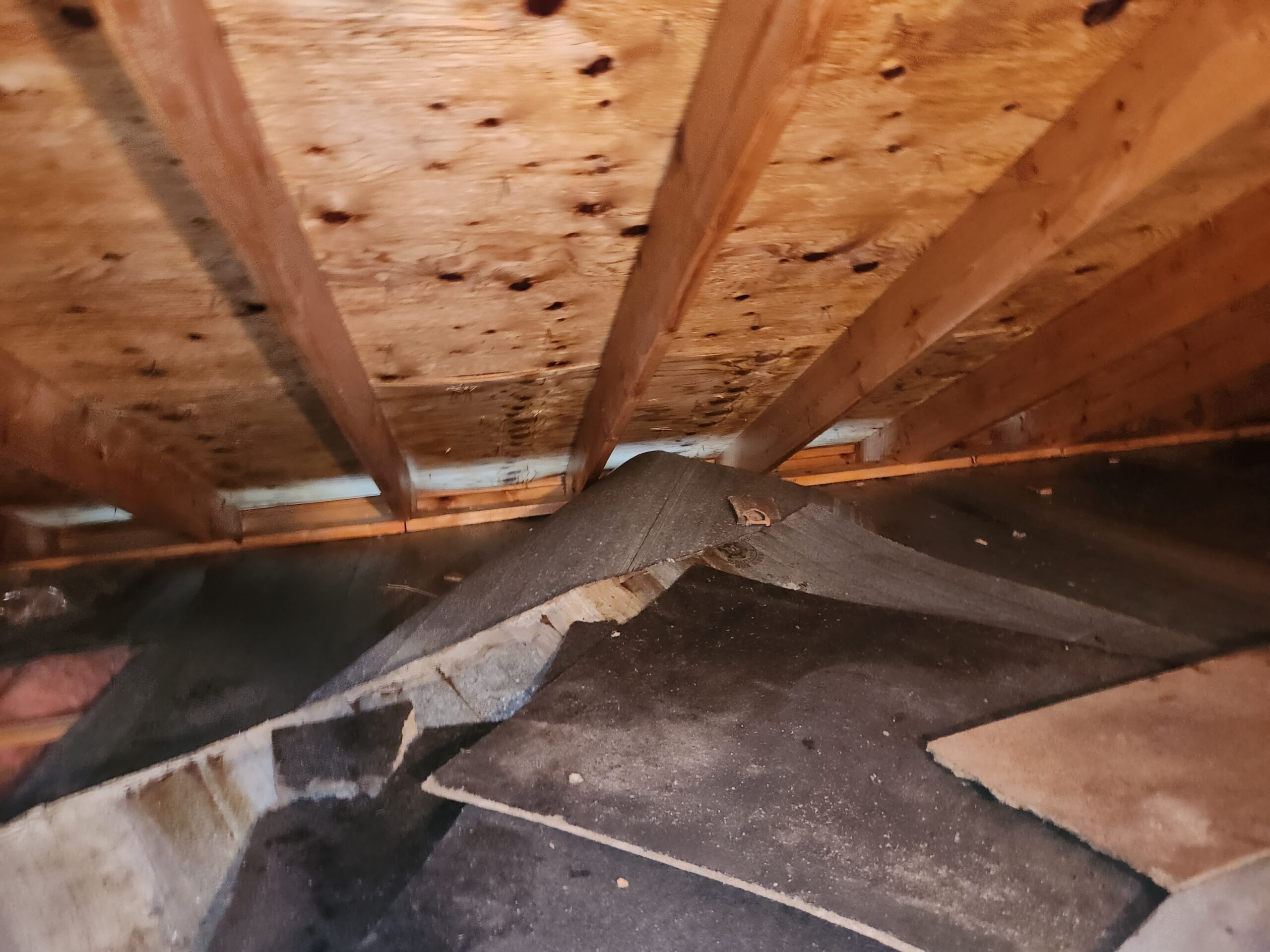Attic remediation completed