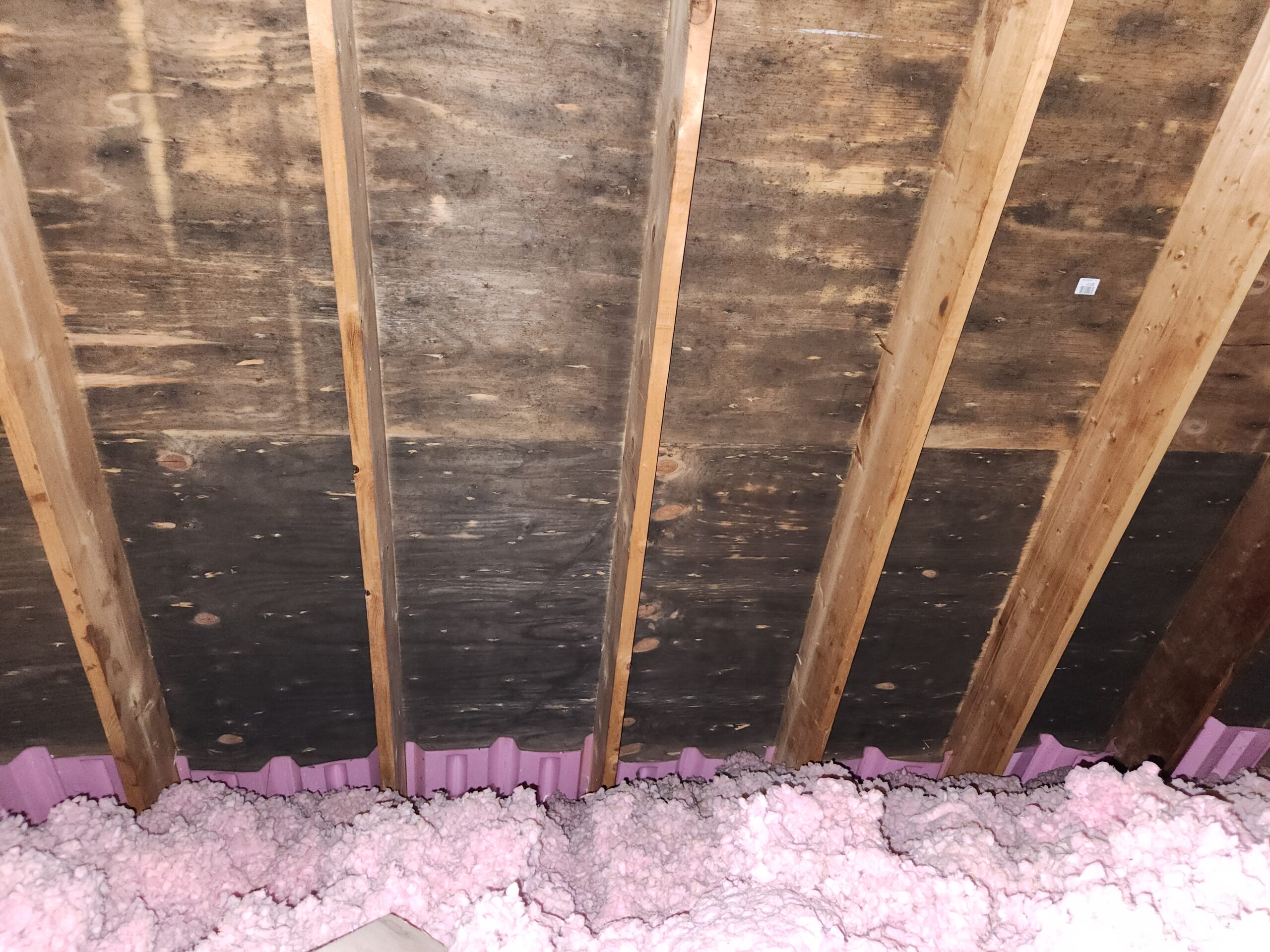 Crawl space remediation detail